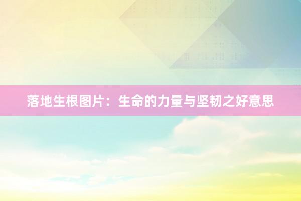 落地生根图片:生命的力量与坚韧之好意思
